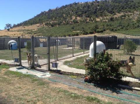 Photo: Brighton Park Boarding Kennels and Cattery